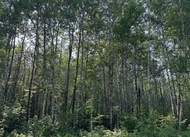 Property at 80+ acres Willow Creek Rd NE, Kelliher, MN 56650