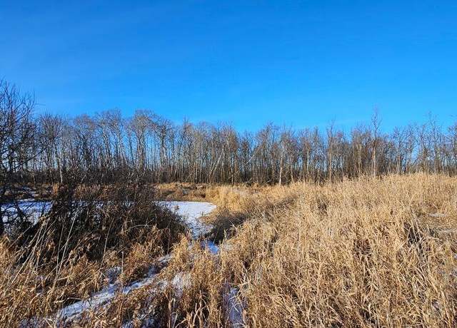 Property at Parcel 2 Willow Rd NE, Carlos, MN 56319