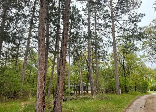 Property at TBD Lavinia Rd NE, Northern Twp, MN 56601
