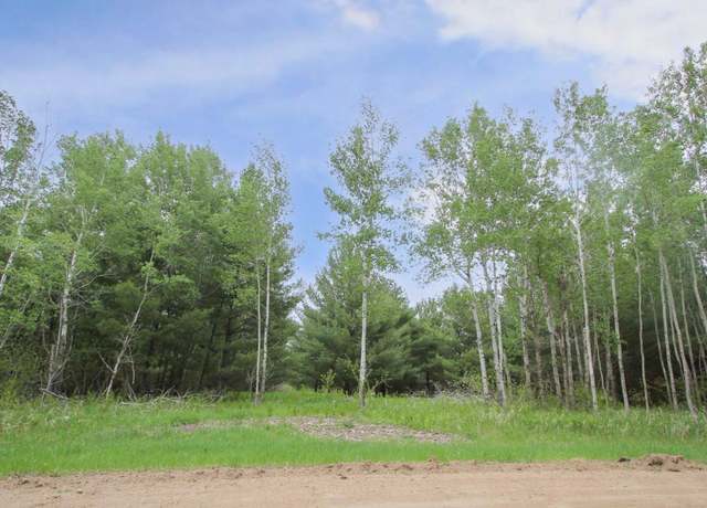 Property at TBD Portage Cir, Browerville, MN 56438