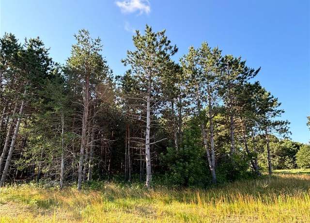 Property at L1,Blk2 262nd Ave NW, Orrock Twp, MN 55309