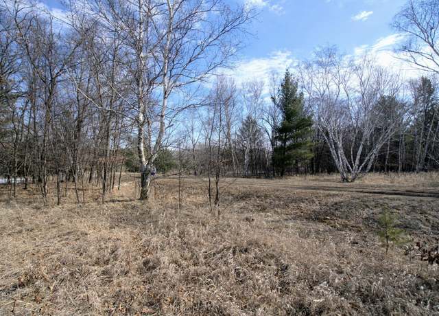 Property at TBD Pacer Loop, Browerville, MN 56438