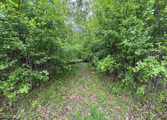 Property at TBD Walnut St S, Mora, MN 55051