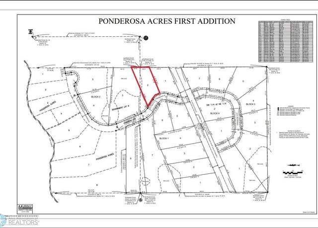 Property at (Lot 2) TBD Ponderosa Ln, Little Elbow Twp, MN 56589