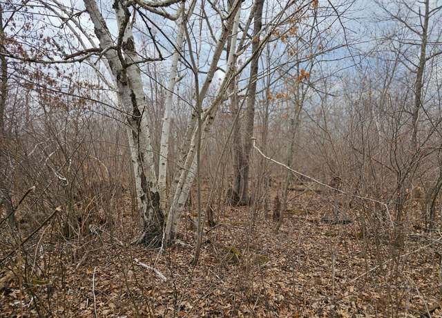 Property at 51935 Cloverton Rd, Arna Twp, MN 55072