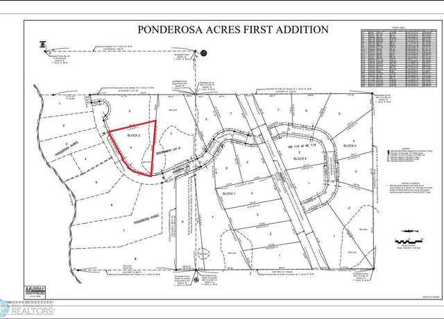 Property at (Lot 4) TBD Waterfront Ln, Little Elbow Twp, MN 56589