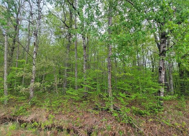 Property at Lot 10 County Road A, Spooner, WI 54801