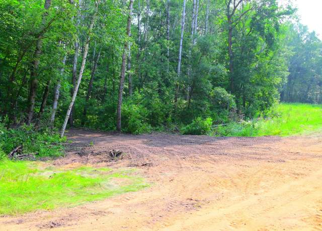 Property at xxx Oriole Ct, Moran Twp, MN 56438