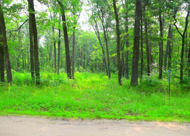 Property at 38970 Odin Ct, Moran Twp, MN 56438