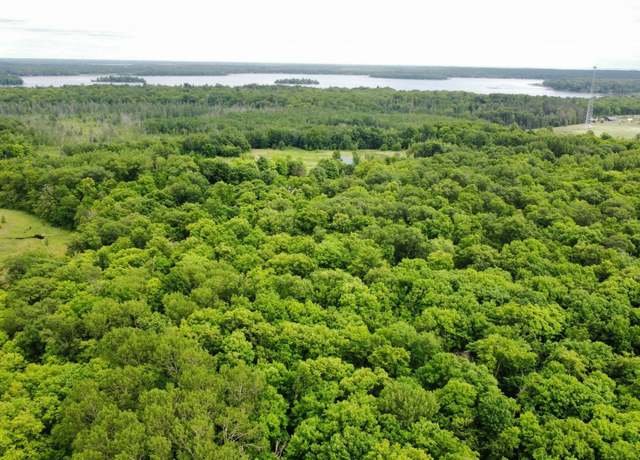 Property at 45XXX 289th Ln, Aitkin, MN 56431