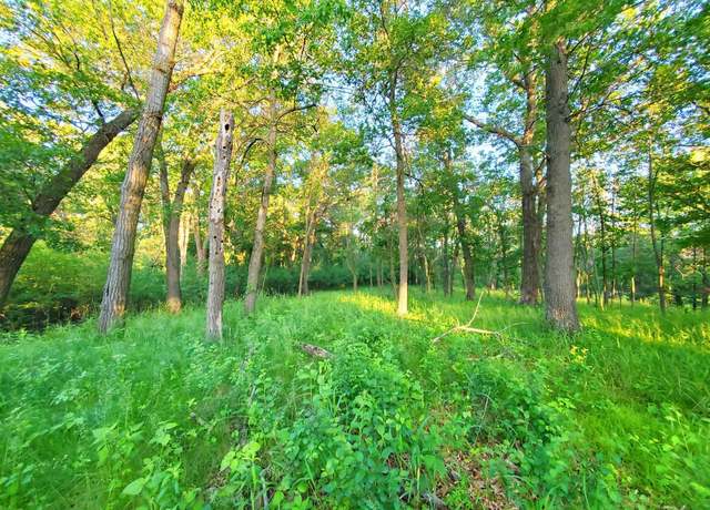 Property at XXX Lot 3 Chestnut St, Marine On Saint Croix, MN 55047