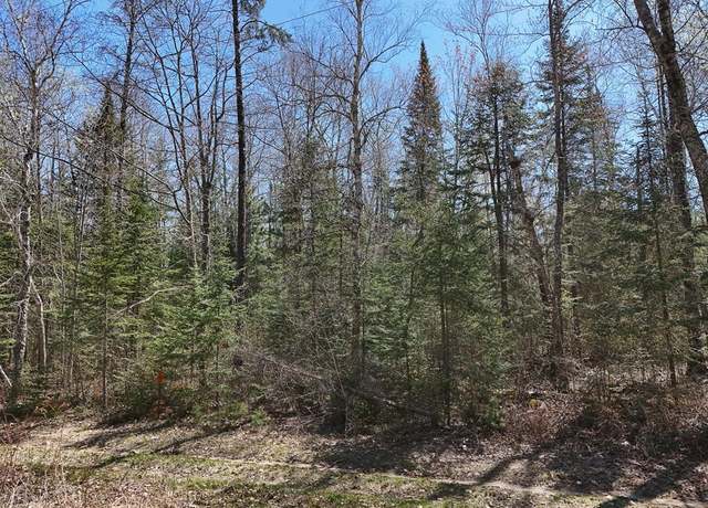 Property at 2xx S Lake Lawrence Rd NE, Outing, MN 56662
