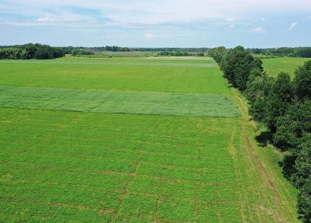 Property at TBD 115th Ave, Eagle Bend, MN 56446