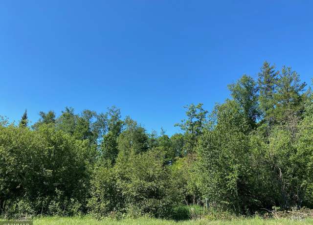 Property at TBD (L9,B2) Goldfinch Ln SW, Bemidji, MN 56601