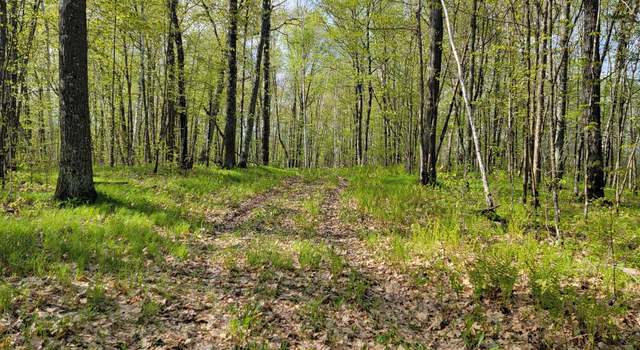 Photo of XXX 109 Acres County Road 36, Aitkin, MN 56431