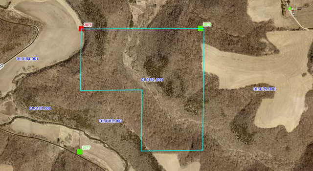 Photo of TBD Tbd, Black Hammer Twp, MN 55974