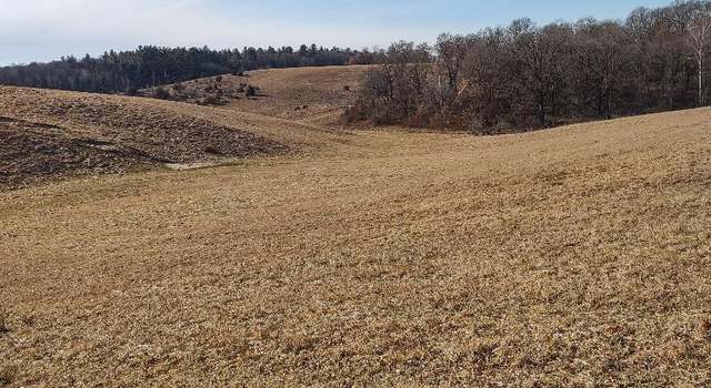Photo of W12XXX E Moore Rd, Humbird, WI 54746