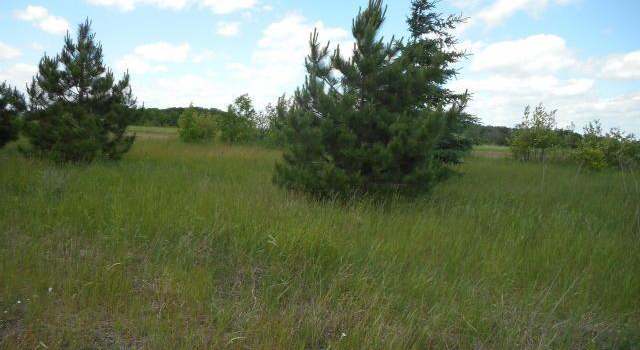 Photo of Lot 31 Turtle Bay Circle Ave, Perham, MN 56573
