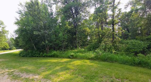 Photo of L2 B1 Josh, Pequot Lakes, MN 56472