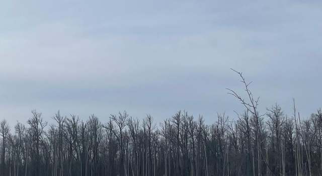 Photo of TBD Highway 73, Fine Lakes Twp, MN 55736