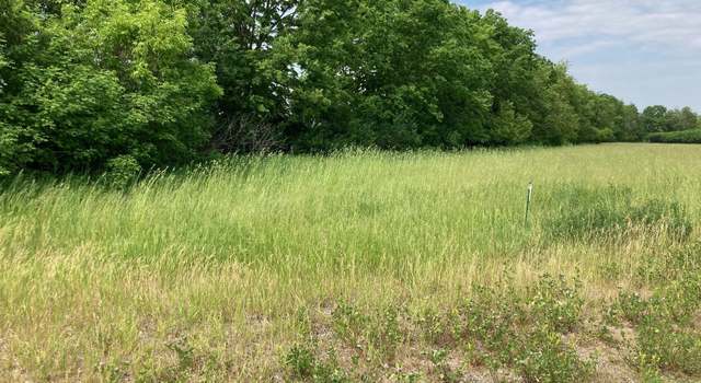 Photo of Parcel B & C 306th St, Florence Twp, MN 55026
