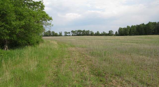 Photo of TBD PARCEL 12 32nd Ave SW, Backus, MN 56435