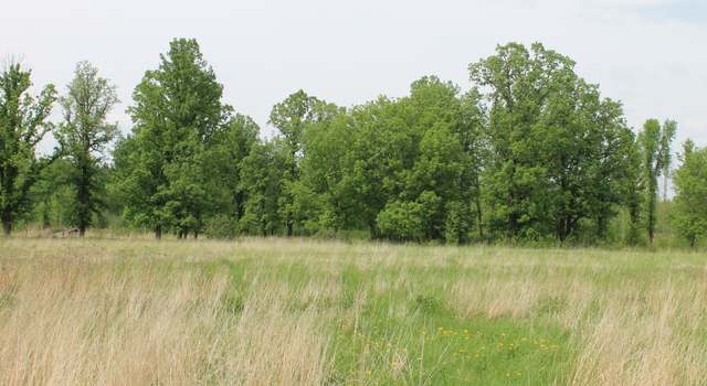 Photo of TBD Feeley 3, Feeley Twp, MN 55793