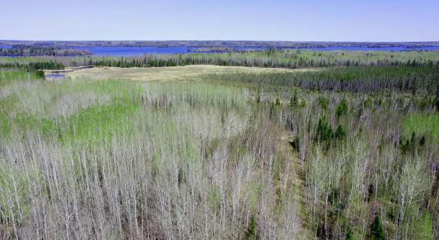 Photo of TBD5 Hwy. 115, Greenwood Twp, MN 55790