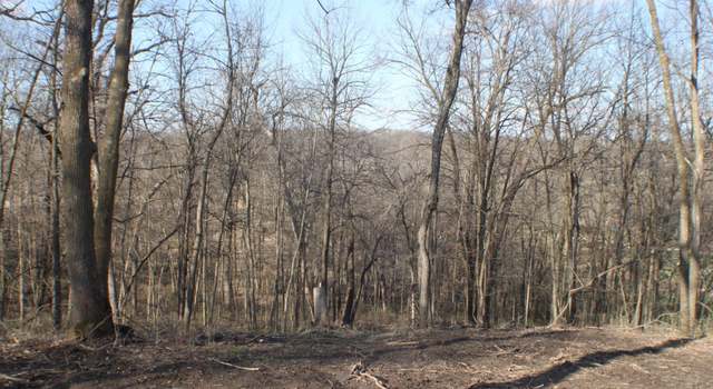 Photo of xxxxC Kings Park Rd NW, Oronoco Twp, MN 55960