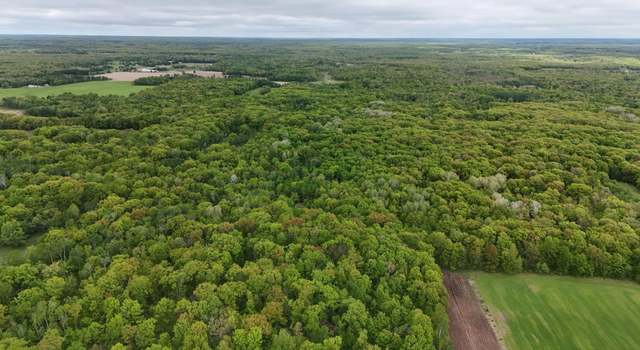Photo of TBD 210th Ave, Kanabec Twp, MN 56358