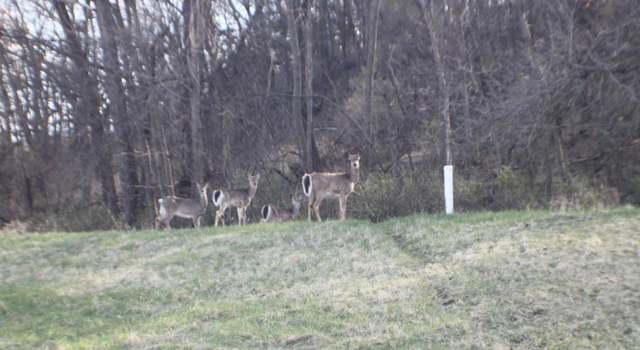 Photo of xxxxB Kings Park Rd NW, Oronoco Twp, MN 55960