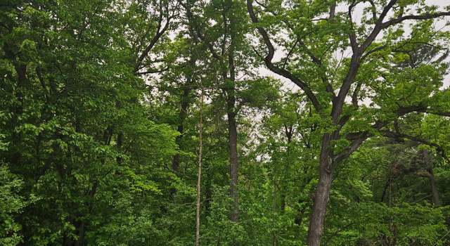 Photo of TBD 330th Ave, Weston Twp, WI 54740
