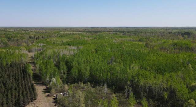 Photo of TBD Sand Rivers Rd, Clover Twp, MN 55037