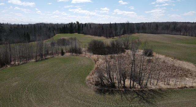 Photo of TBD Alfalfa Dr NW, Shevlin, MN 56676