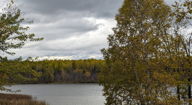 Photo of 10281 Sullivan Rd, Great Scott Twp, MN 55710