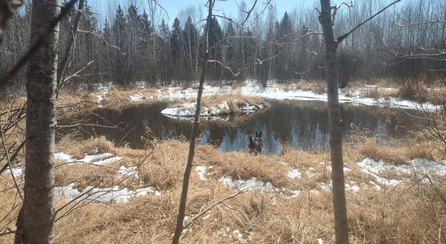 Photo of TBD Tranquility Dr, Helga Twp, MN 56461