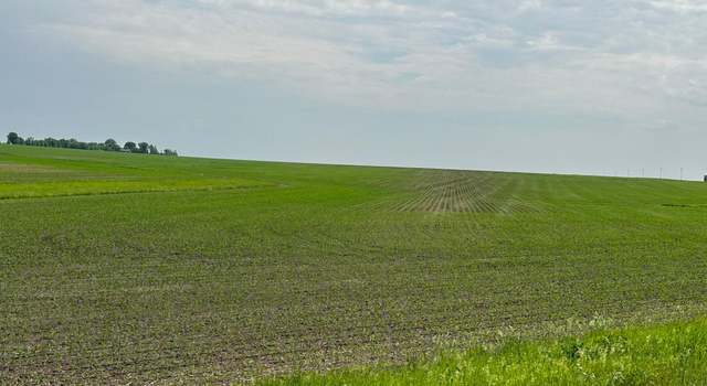 Photo of xxxx 300th St, Pleasant Valley Twp, MN 55936