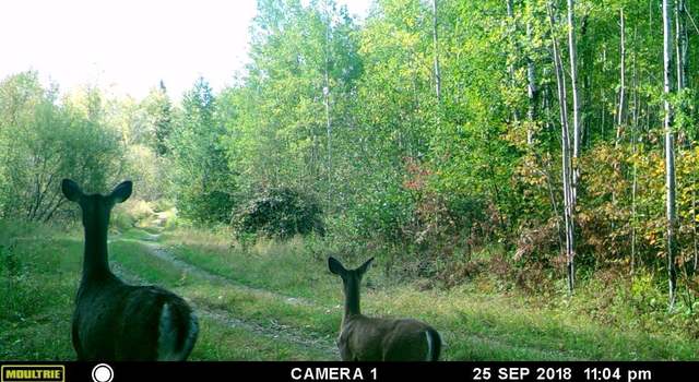Photo of 6930 Northeast Rd, Wright, MN 55798
