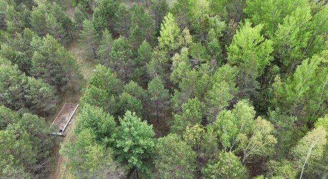 Photo of 14318 E Hakkinen Rd, Brule, WI 54820