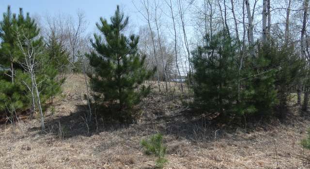 Photo of XXX Crocus St NW, Bradford Twp, MN 55040