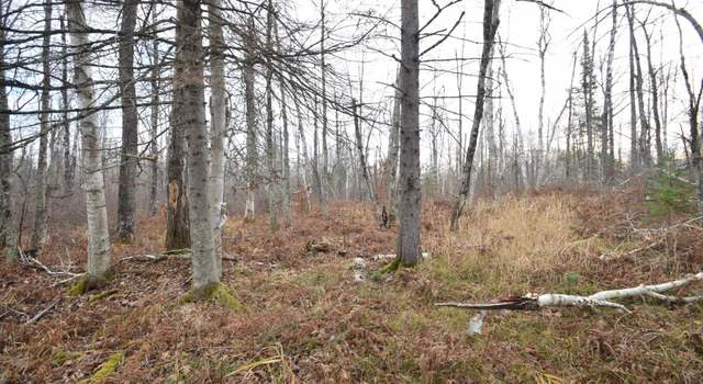 Photo of 0 N Fire Lane Rd, Danbury, WI 54830