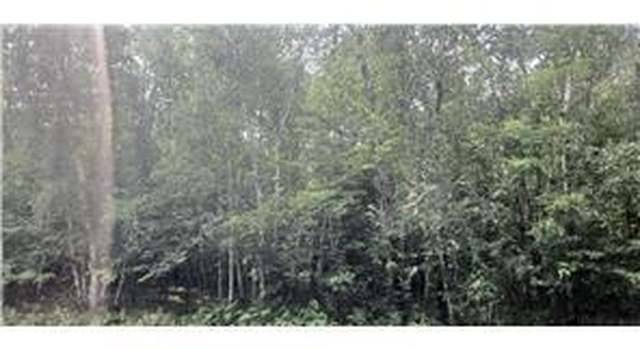 Photo of xxx Lot 3 County Road D, Clayton, WI 54004