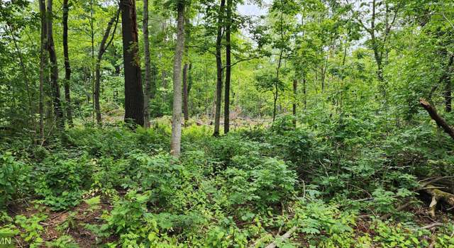 Photo of 10xx US Hwy 8, Apple River Twp, WI 54001
