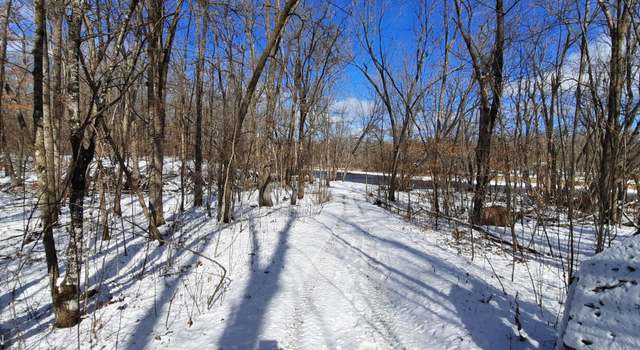 Photo of XXX River Island Rd, Pine City Twp, MN 55063