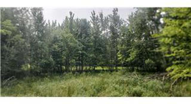 Photo of xxx Lot 4 County Road D, Clayton, WI 54004
