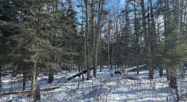 Photo of XXX 120th Pl, Tamarack, MN 55787