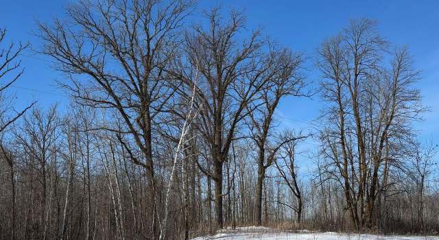 Photo of 15a Hines Rd NE, Hines Twp, MN 56630