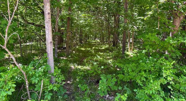 Photo of 32xxx Smokey Ln, Everts Twp, MN 56515