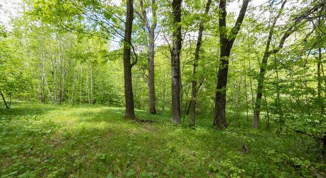 Photo of Lot 12 133rd St, Amery, WI 54001