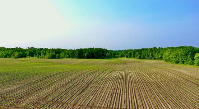 Photo of NA 465th St, Sunrise Twp, MN 55032